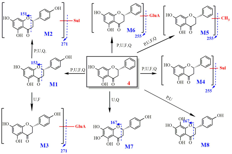 Figure 12