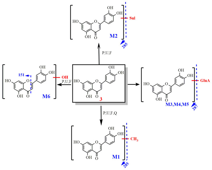 Figure 10