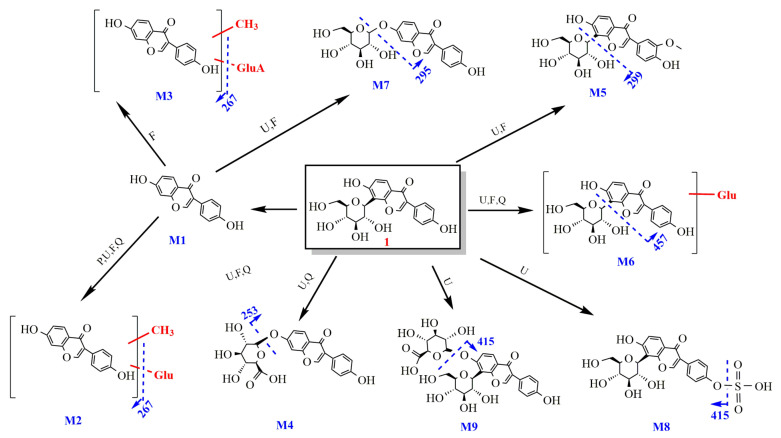 Figure 6