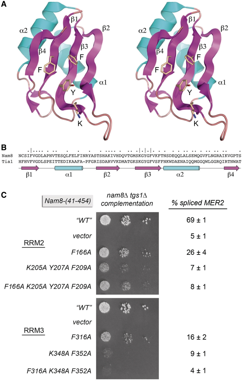 Figure 10.