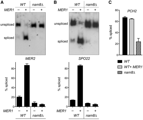 Figure 2.