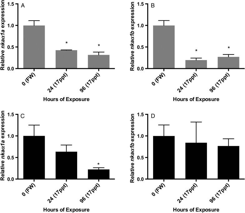 Figure 2: