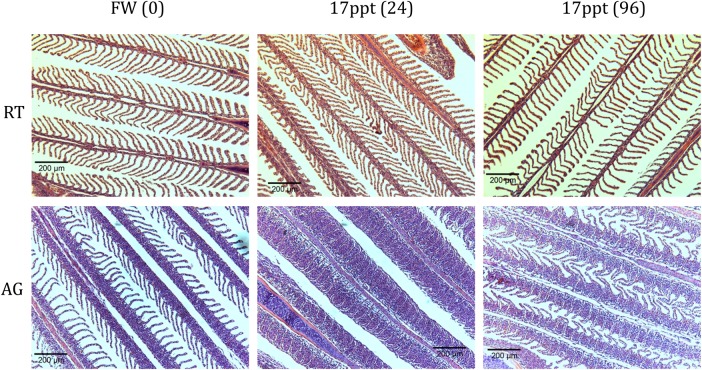 Figure 3: