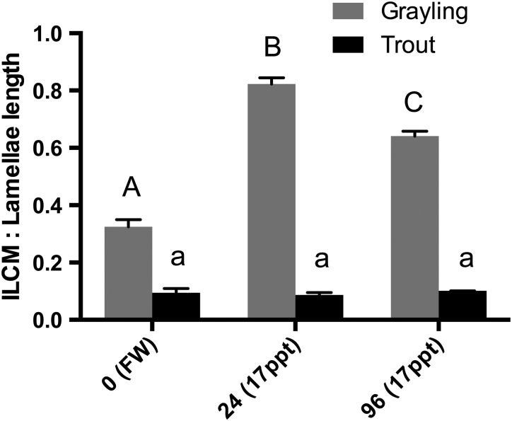 Figure 5: