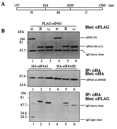 FIG. 10