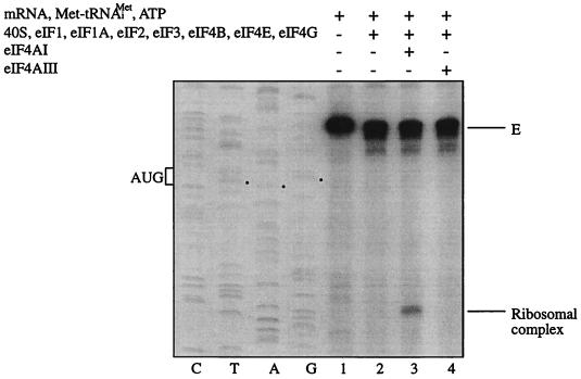 FIG. 7