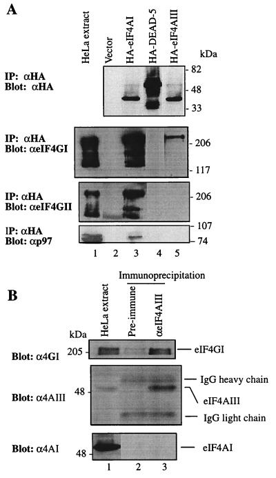 FIG. 9