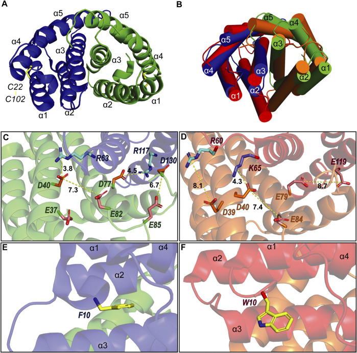 FIGURE 3