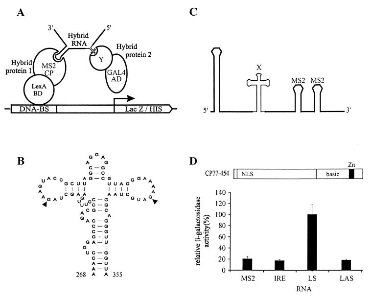 FIG. 2