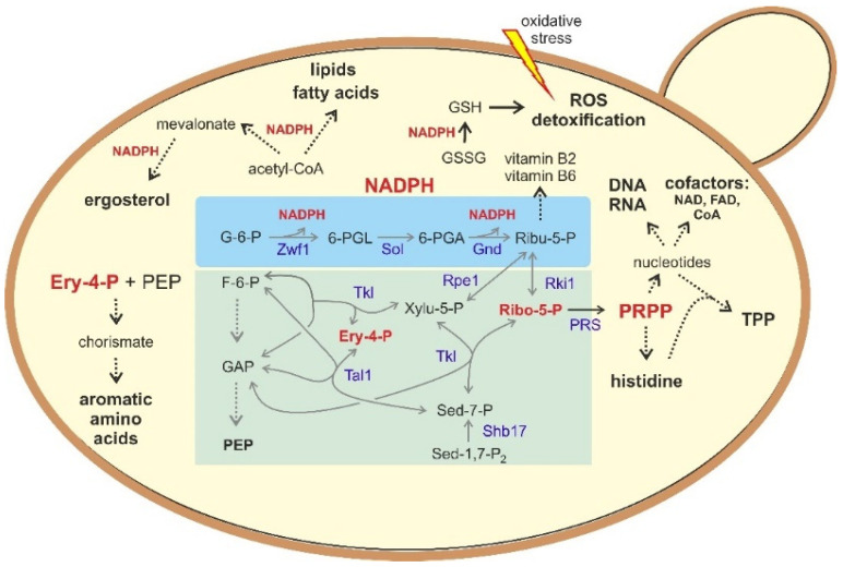 Figure 2