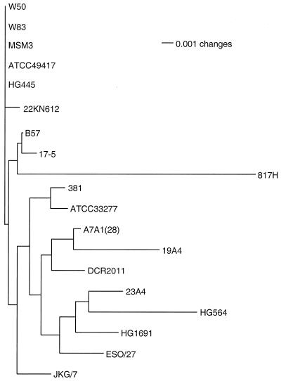 FIG. 1