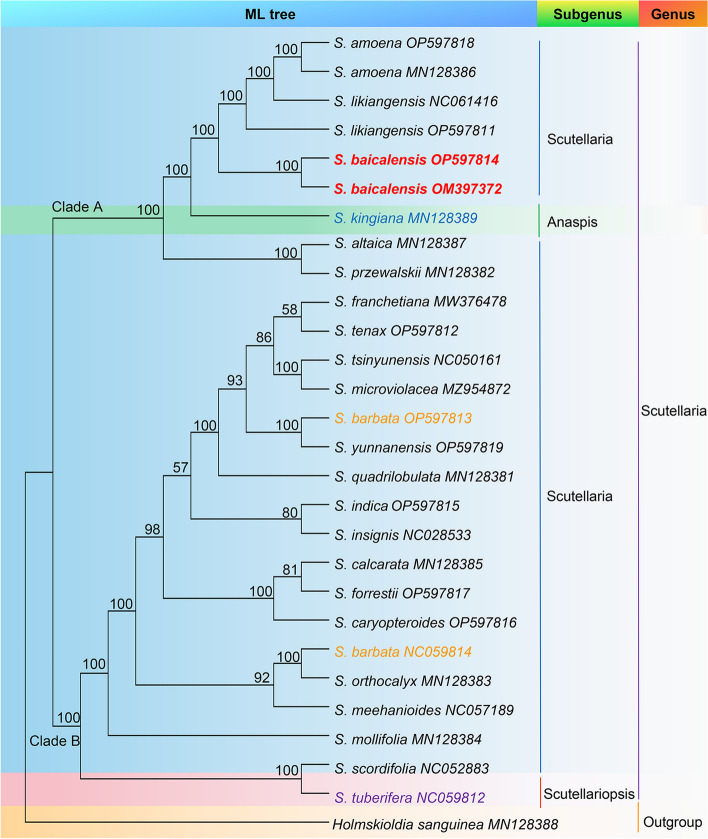 Fig. 6