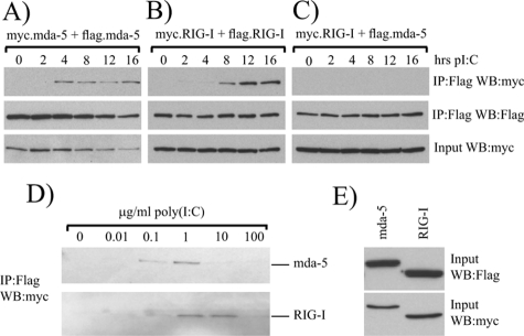 FIG. 4.