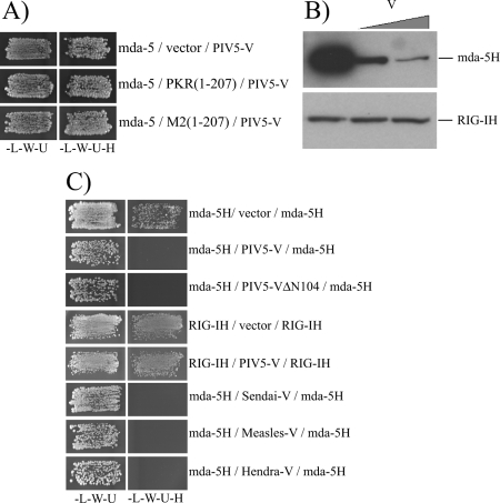 FIG. 6.