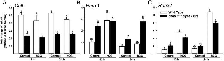 Figure 4.