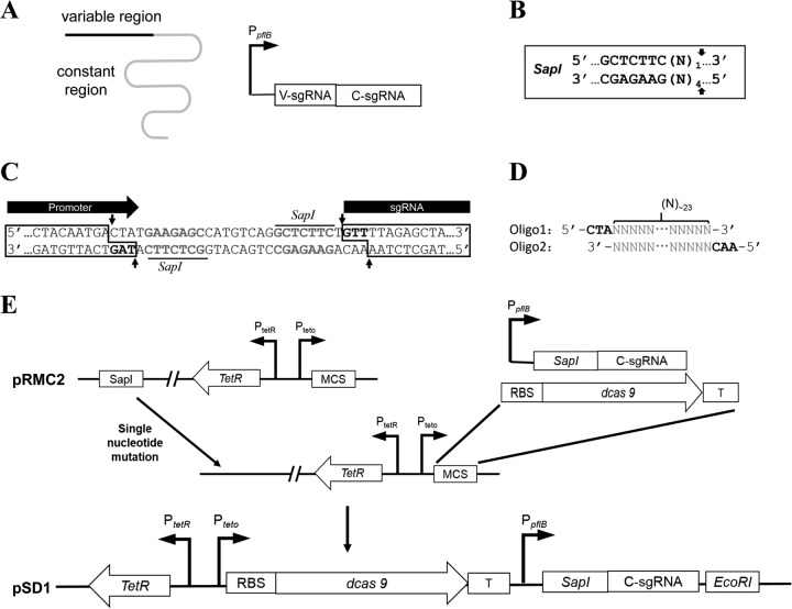 FIG 1