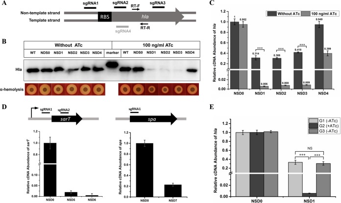 FIG 2