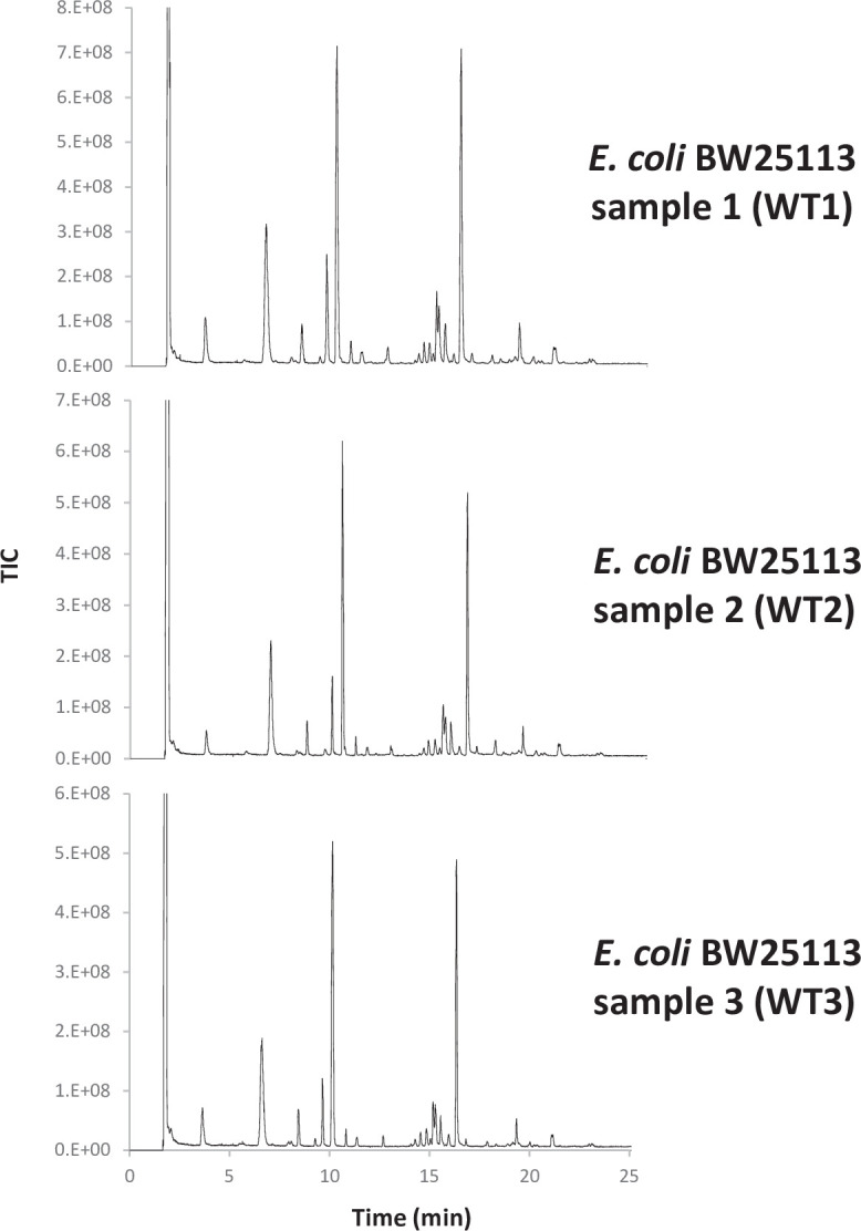 Appendix 1—figure 1.