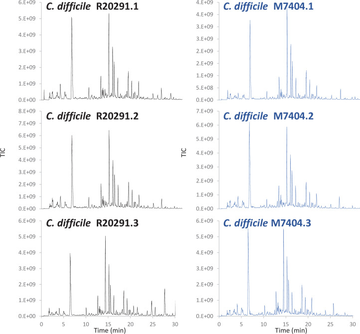 Figure 4—figure supplement 1.