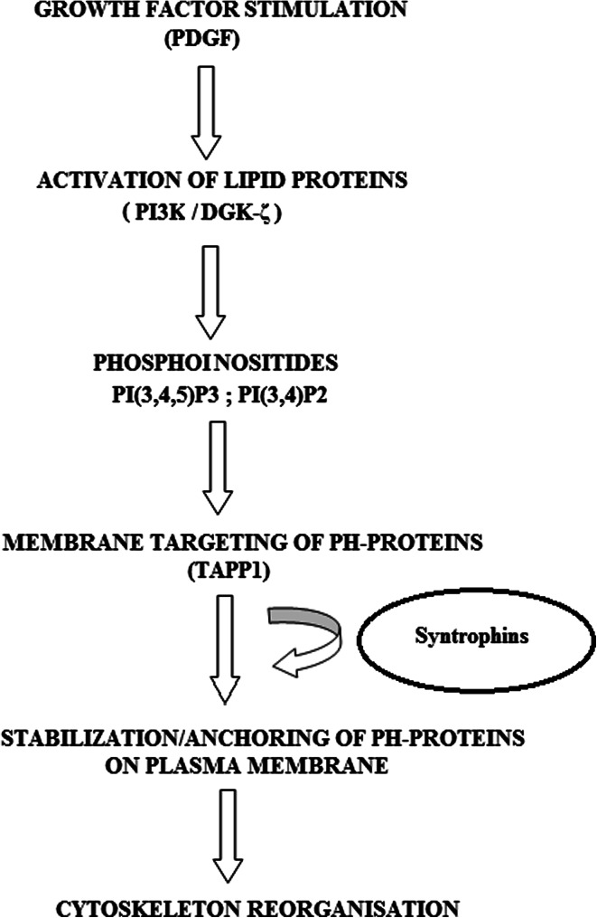 Fig. 4