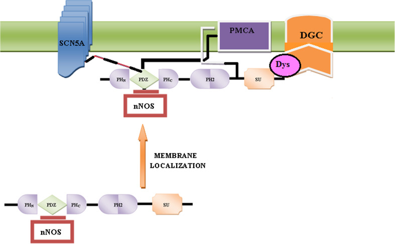 Fig. 7