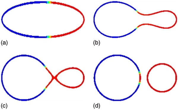 FIG. 7