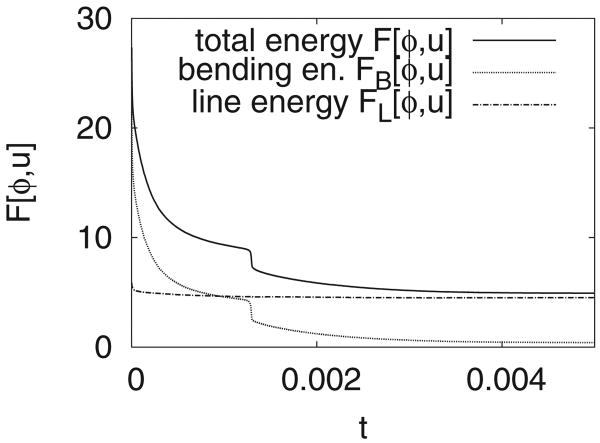 FIG 8