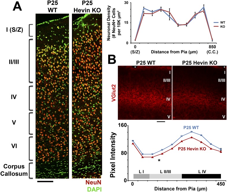 Figure 2—figure supplement 2.