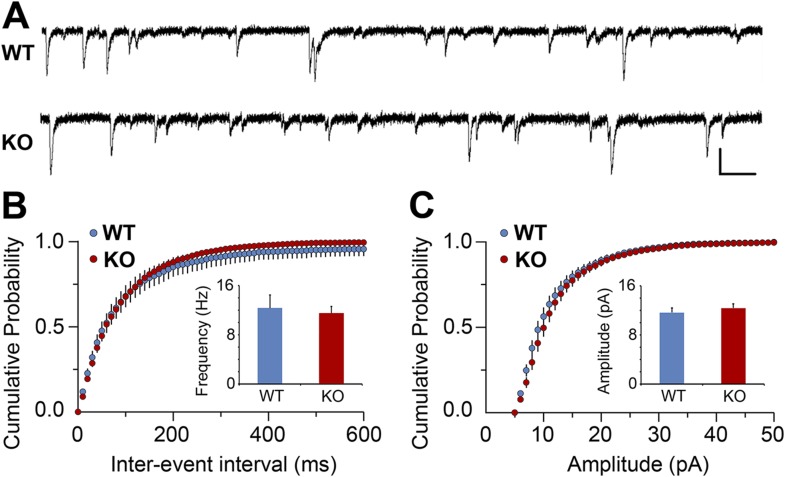 Figure 2—figure supplement 4.