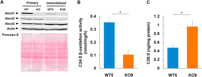 Figure 3