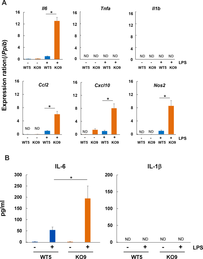 Figure 4