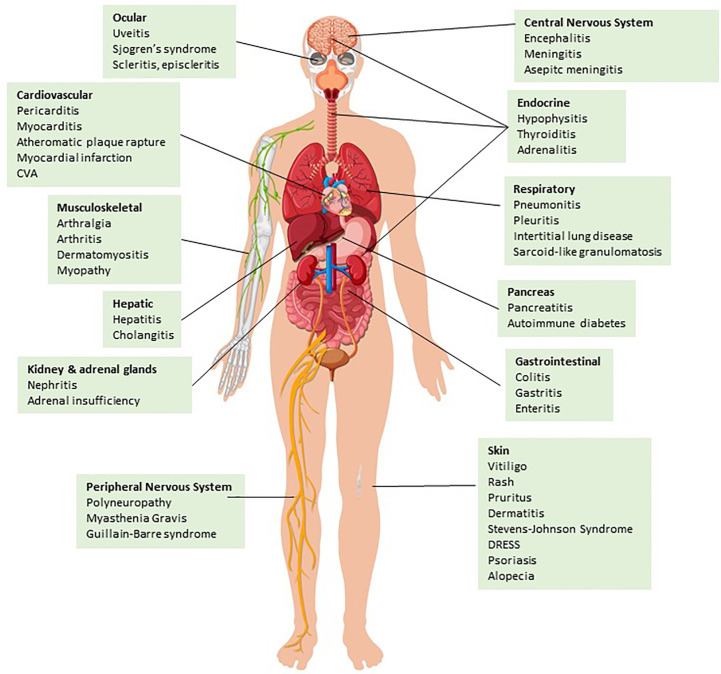 Figure 1