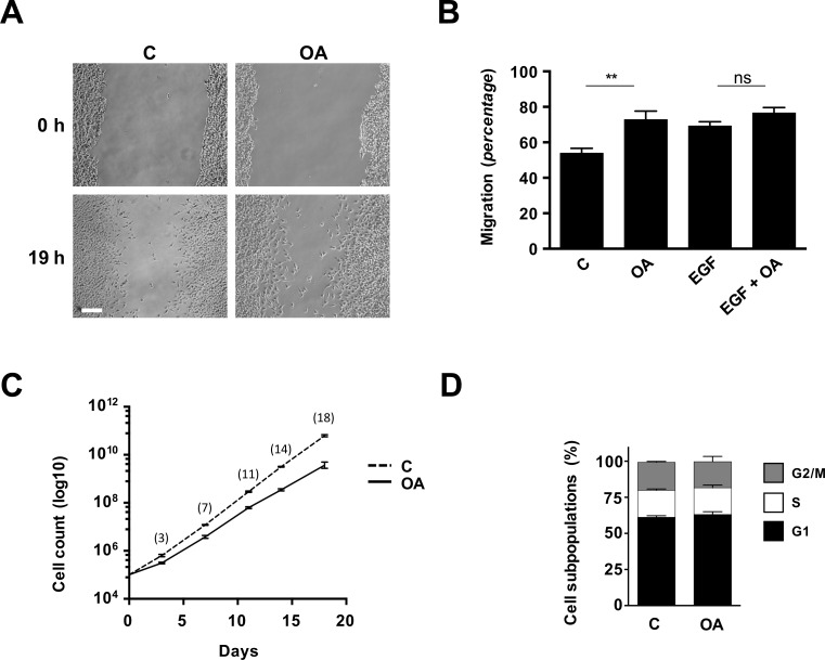 Fig 4