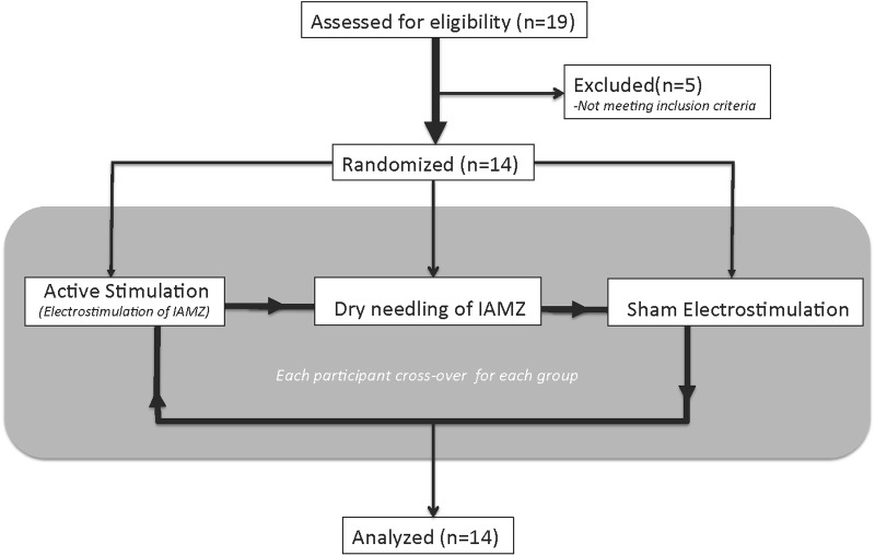 FIGURE 4