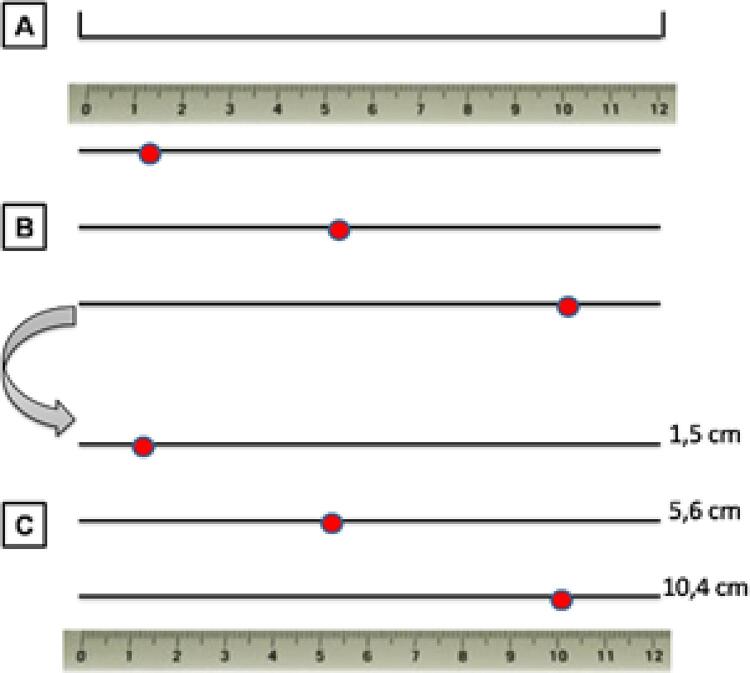 Figura 2