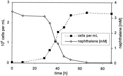 FIG. 1