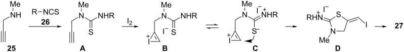 Scheme 6