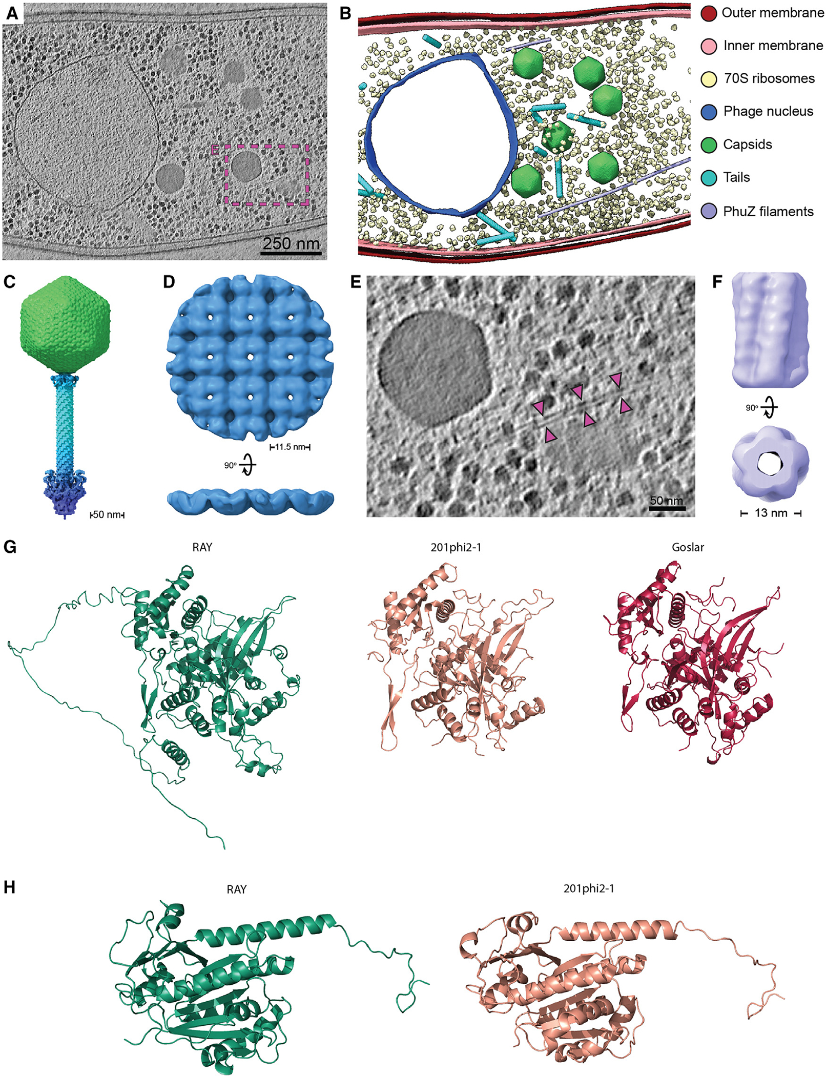 Figure 6.