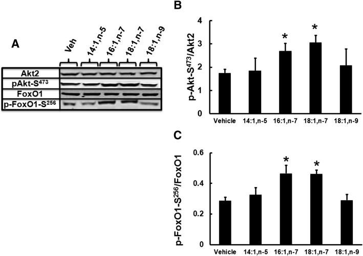 Fig. 10.