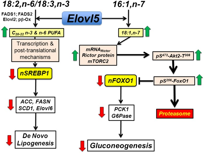 Fig. 13.