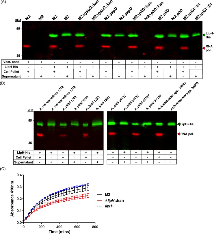 Fig 6