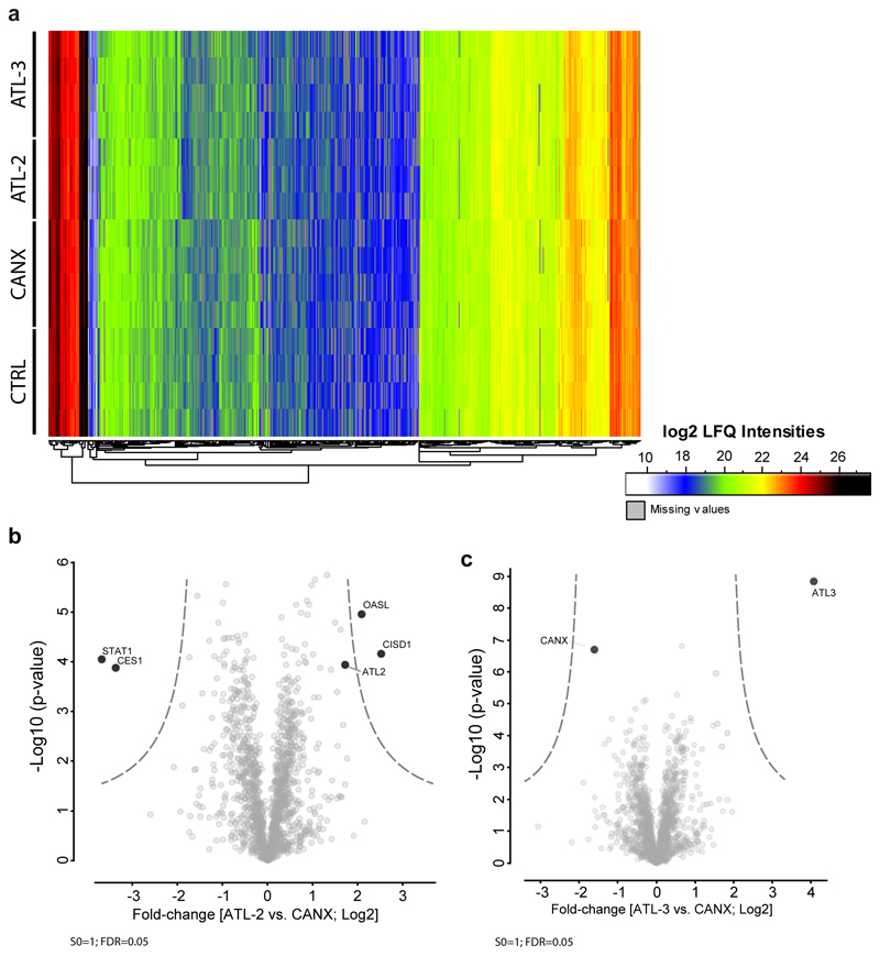 Extended Data Figure 7