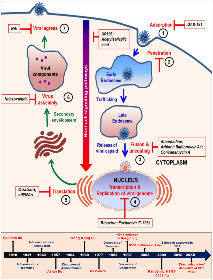 Figure 2