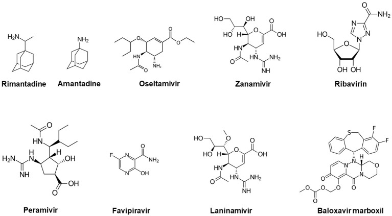 Figure 1