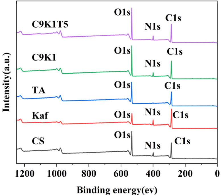 Fig. 10