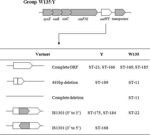 FIG. 3.