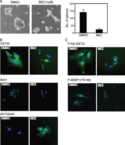 Fig. 6.