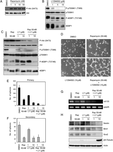 Fig. 3.