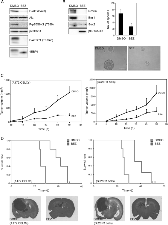 Fig. 8.