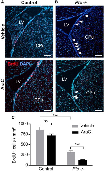 Figure 6